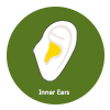 Inner Ears